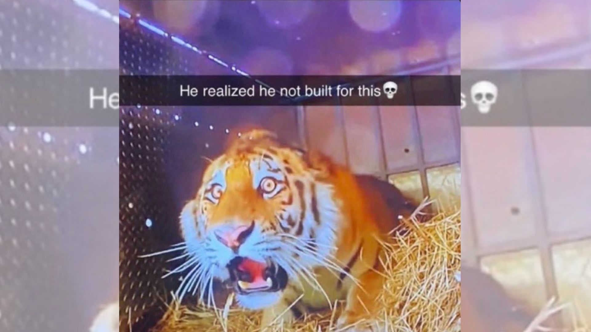 He Not Built For This Meme