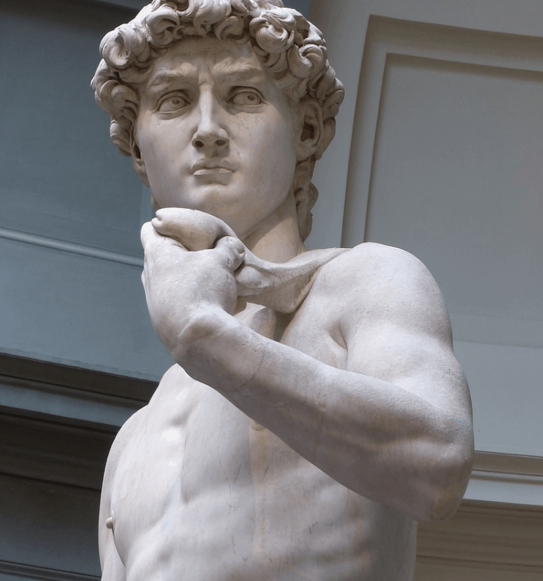 Statue Of David Details - Who Is The Ceo Of Mint Mobile