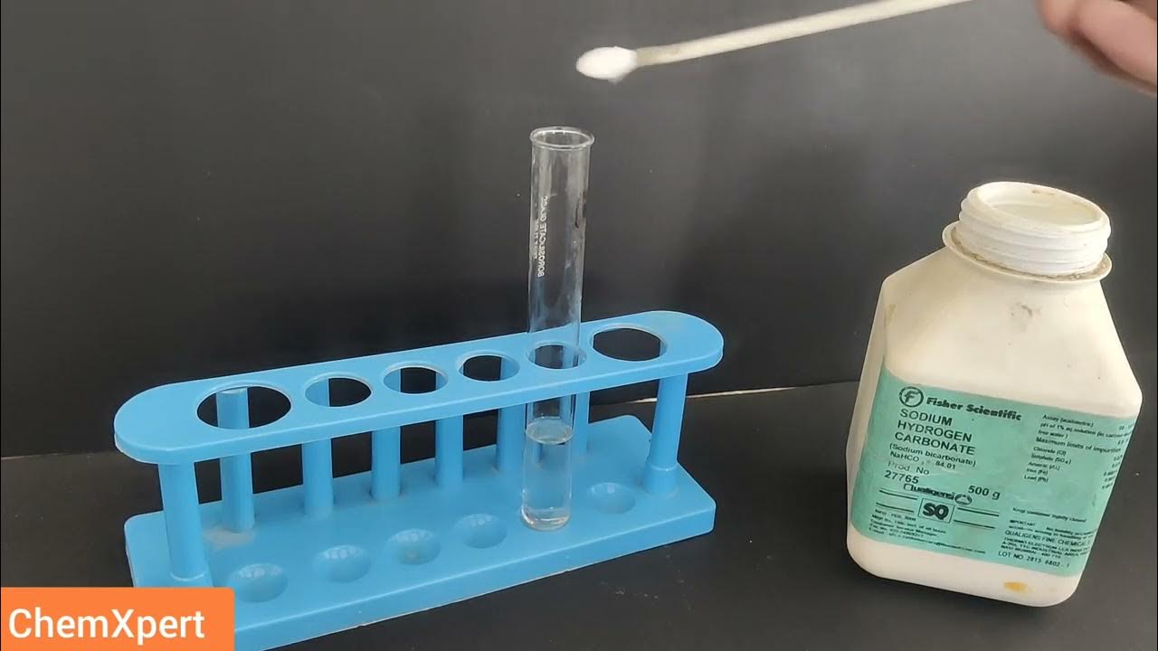 Study the Properties of acetic Acid | Class 10 Science Practical - Price Of Acetic Acid Per Ton