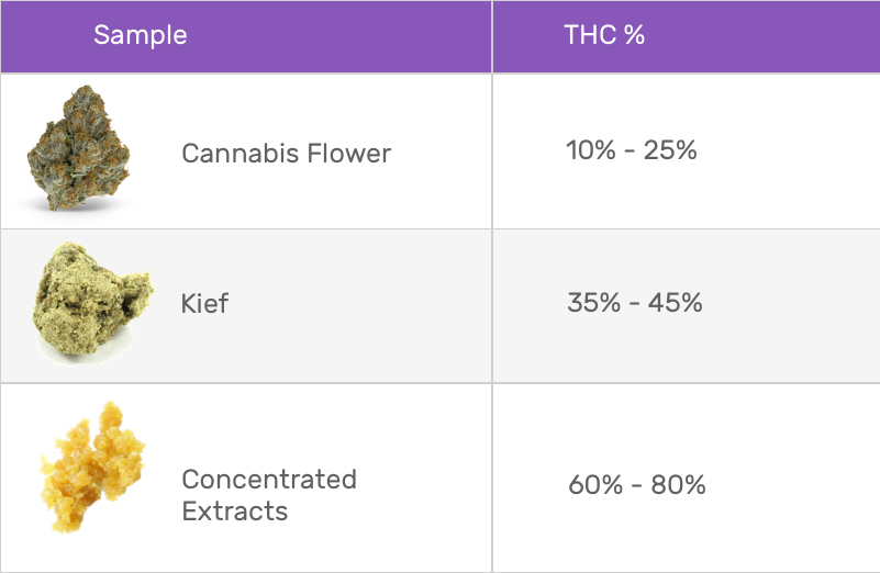 THC Percentage: Why It Matters - Herb Approach - Will 5mg Of Thc Do Anything