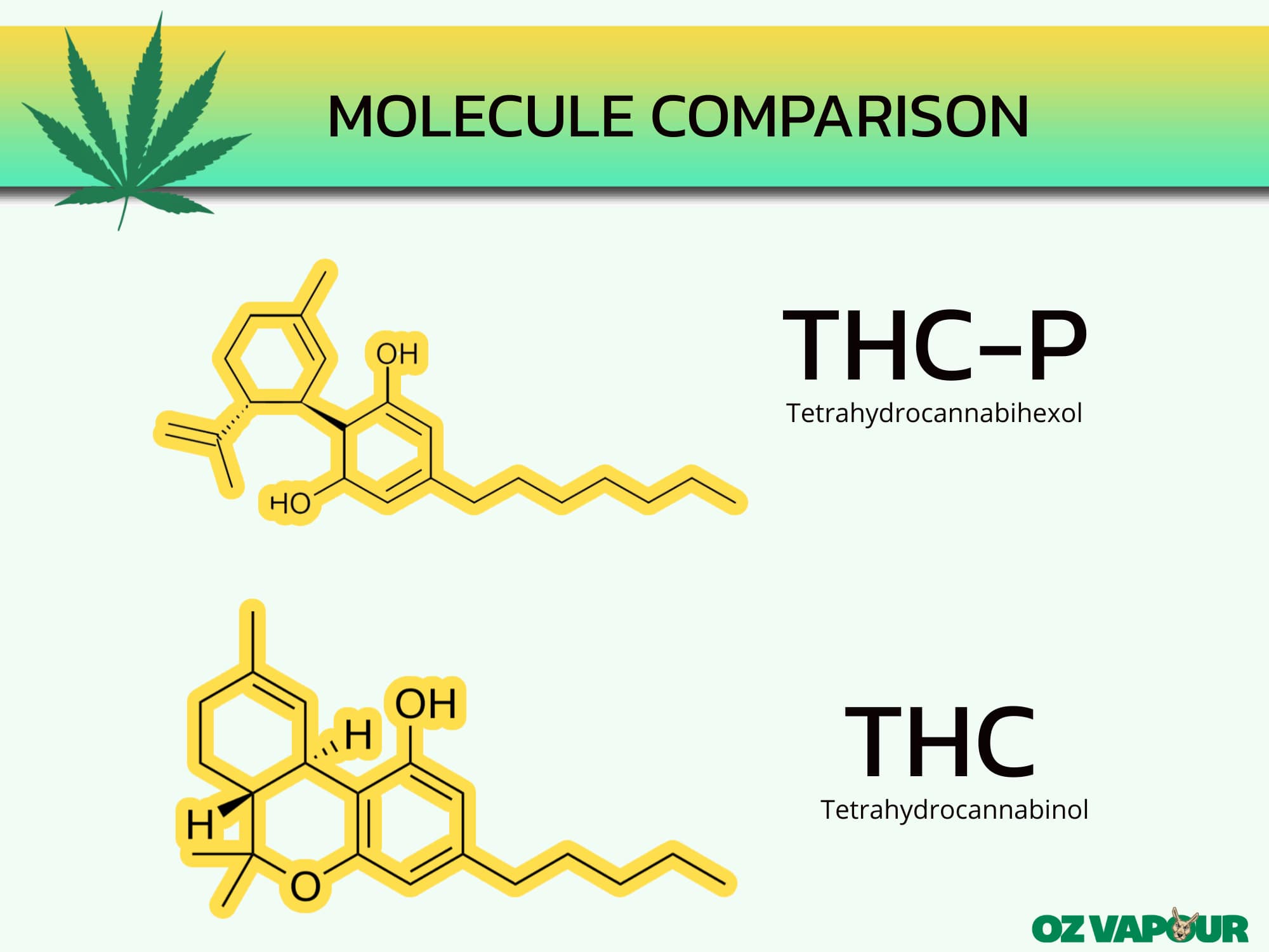 Is 100mg Of Thc A Good Dose