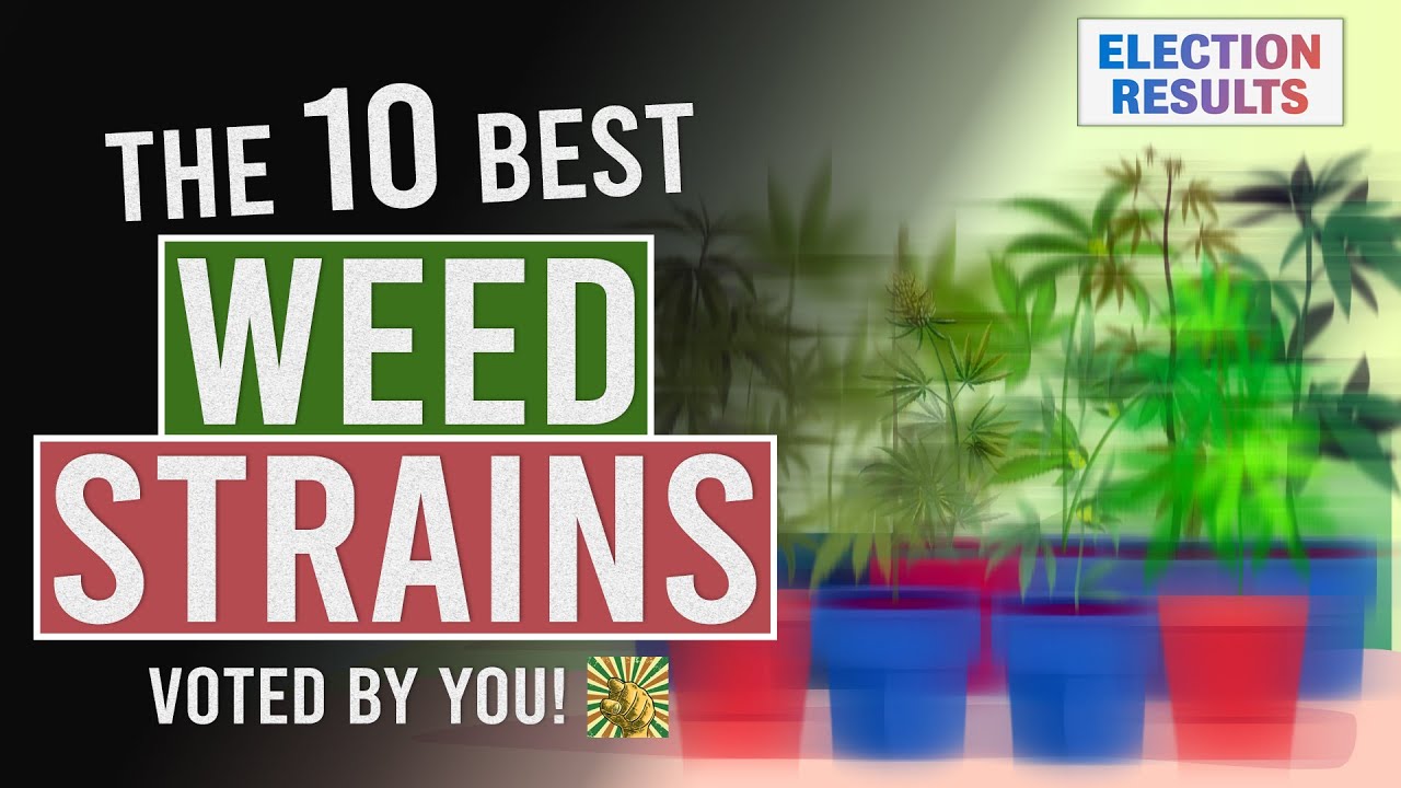 The 10 BEST WEED Strains Voted for by YOU! - YouTube - Schedule 1 Best Weed To Sell