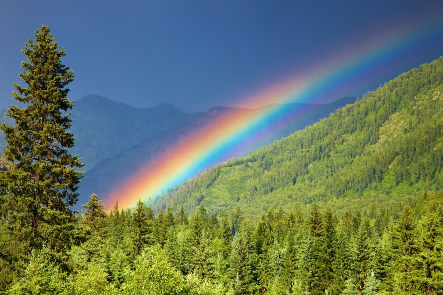 Rainbow High Day Of The Dead