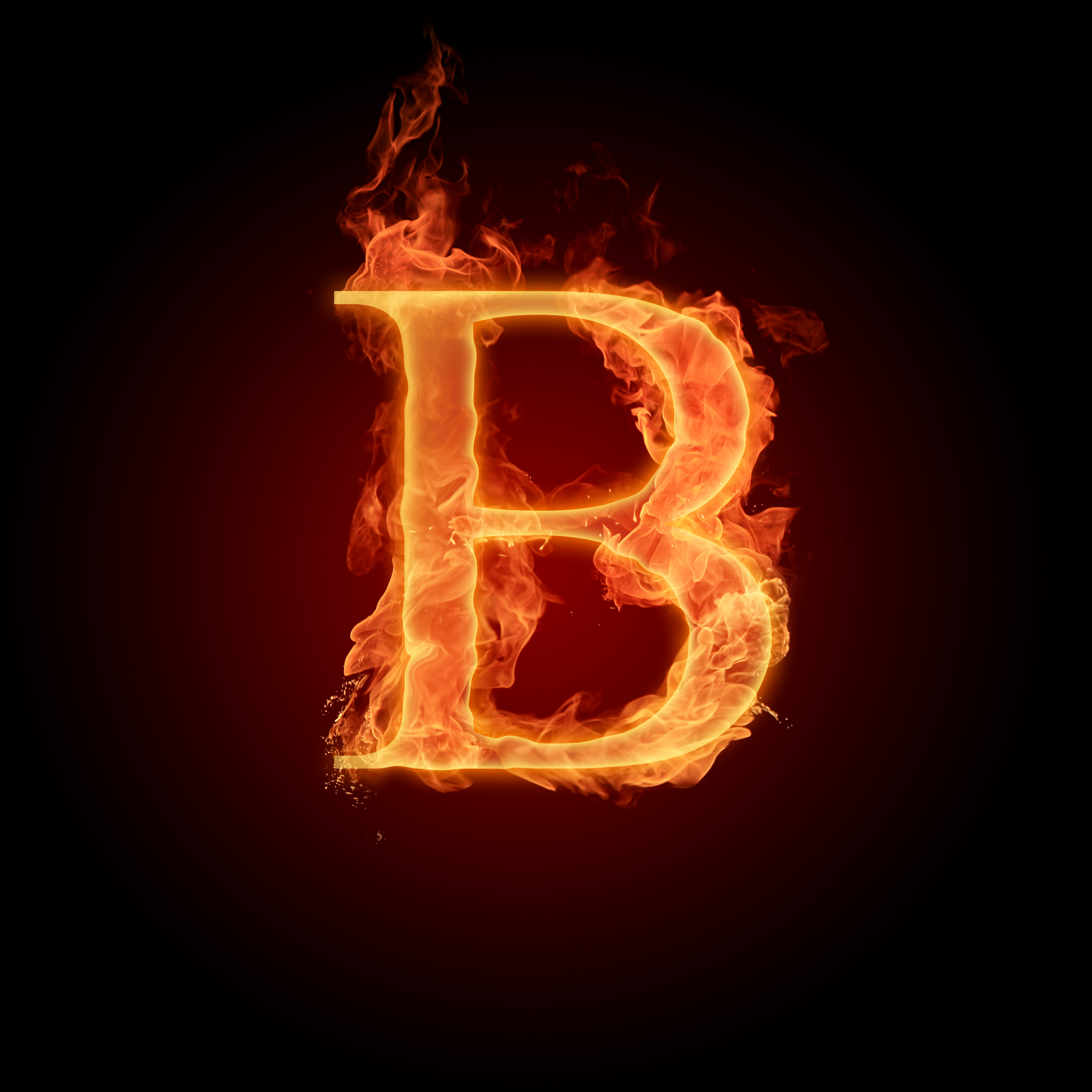 The letter B - The Alphabet Photo (22186966) - Fanpop - B And H Photo Return Policy