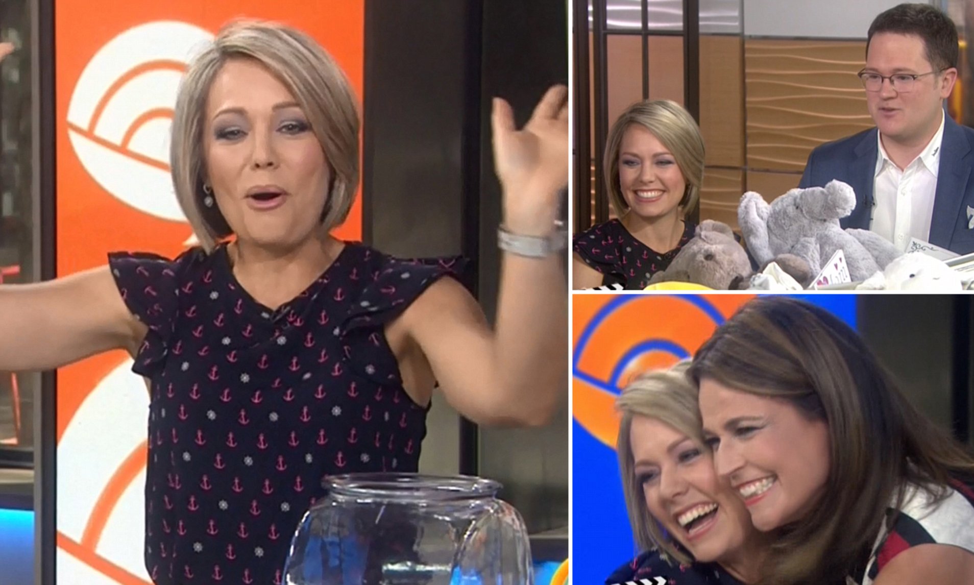 Today's Dylan Dreyer reveals she's pregnant just days after anchor - Is Dylan Dreyer Pregnant Again? Viewers Spot The Clues