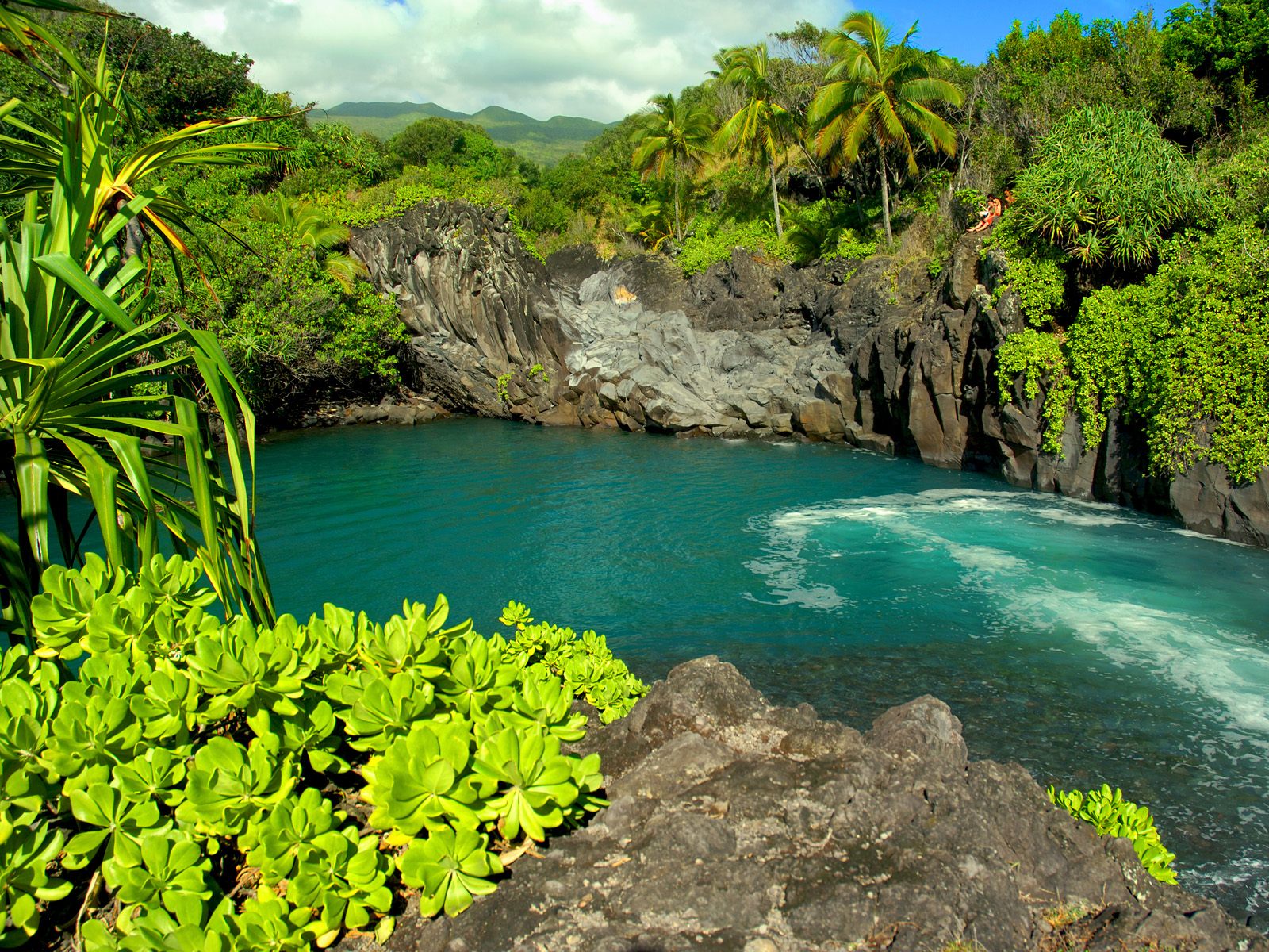 Travel The World: 6 Things to do in Maui (Hawaii) - Maui Land & Pineapple Co Inc