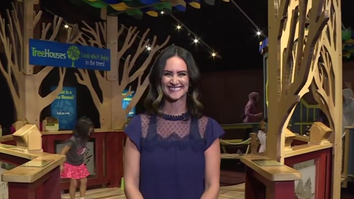 TreeHouses:_Look_Who%E2%80%99s_Living_in_the_Trees - Who’s Hosting ‘SNL’ Season 50 Tonight? Cast, Time & How To Watch