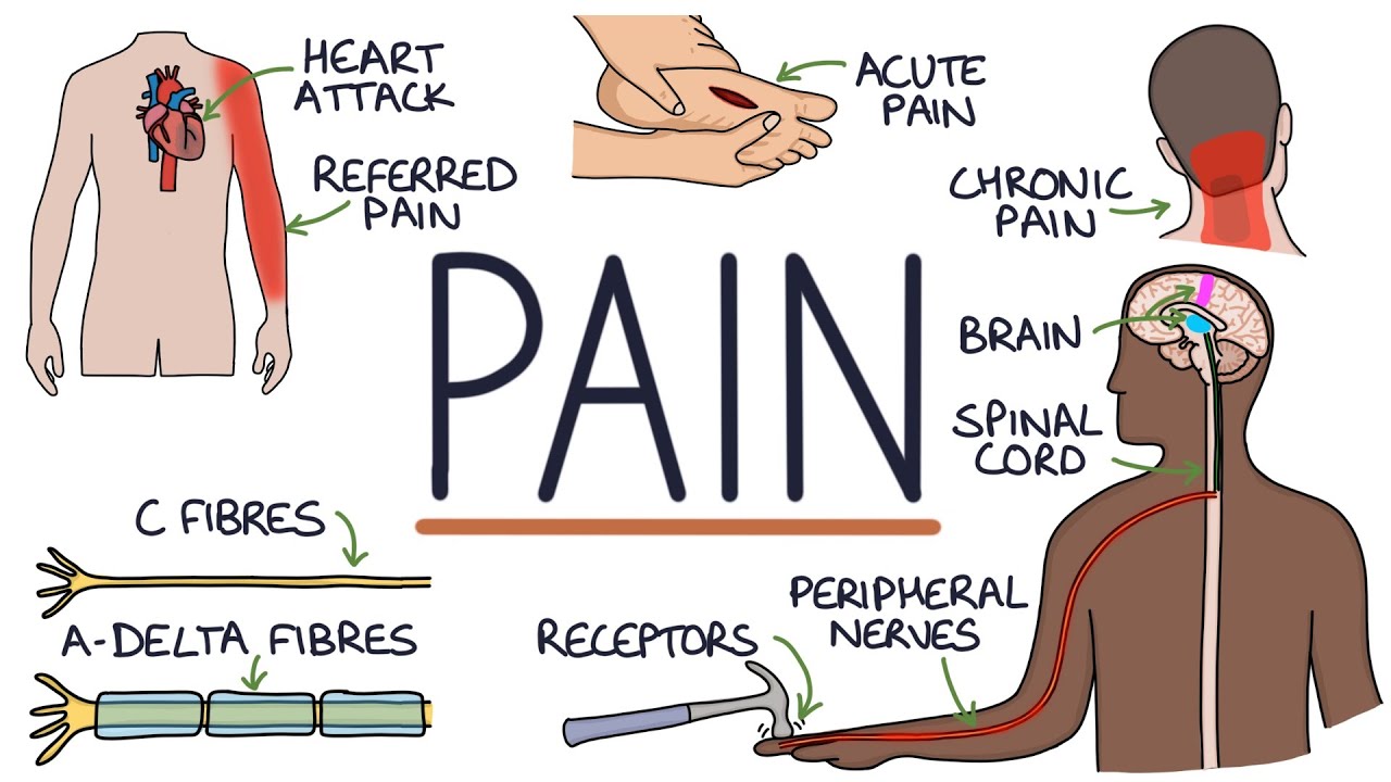 Understanding The Causes of Pain and Pain Management - YouTube - Pain In Ear After Wax Removal