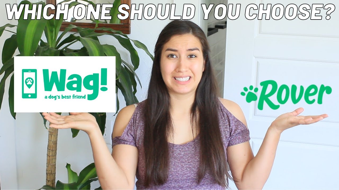 Wag Vs Rover For Pet Owners
