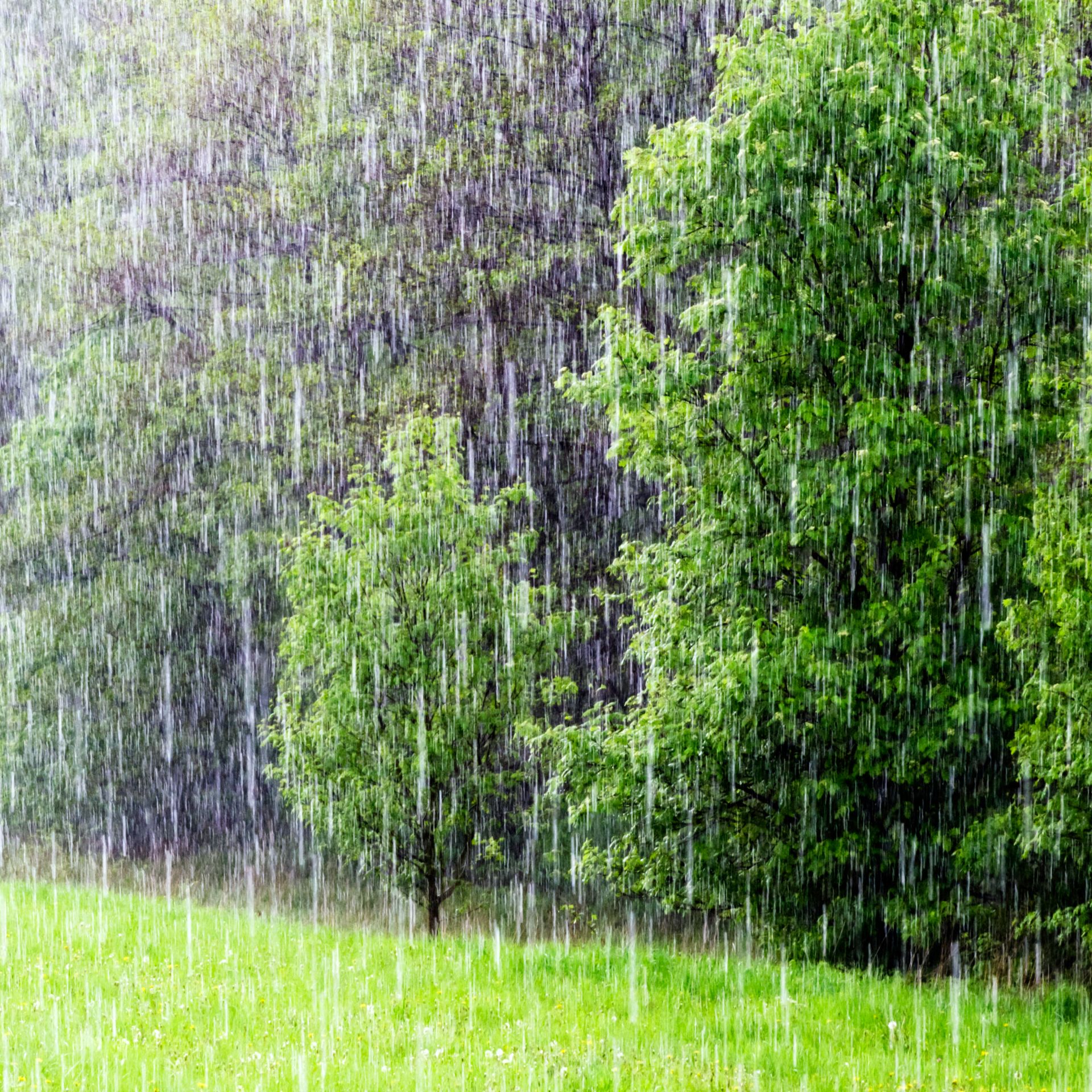 What Causes Rain | How Is Rain Formed | DK Find Out - Rain Eye Drops Where To Buy