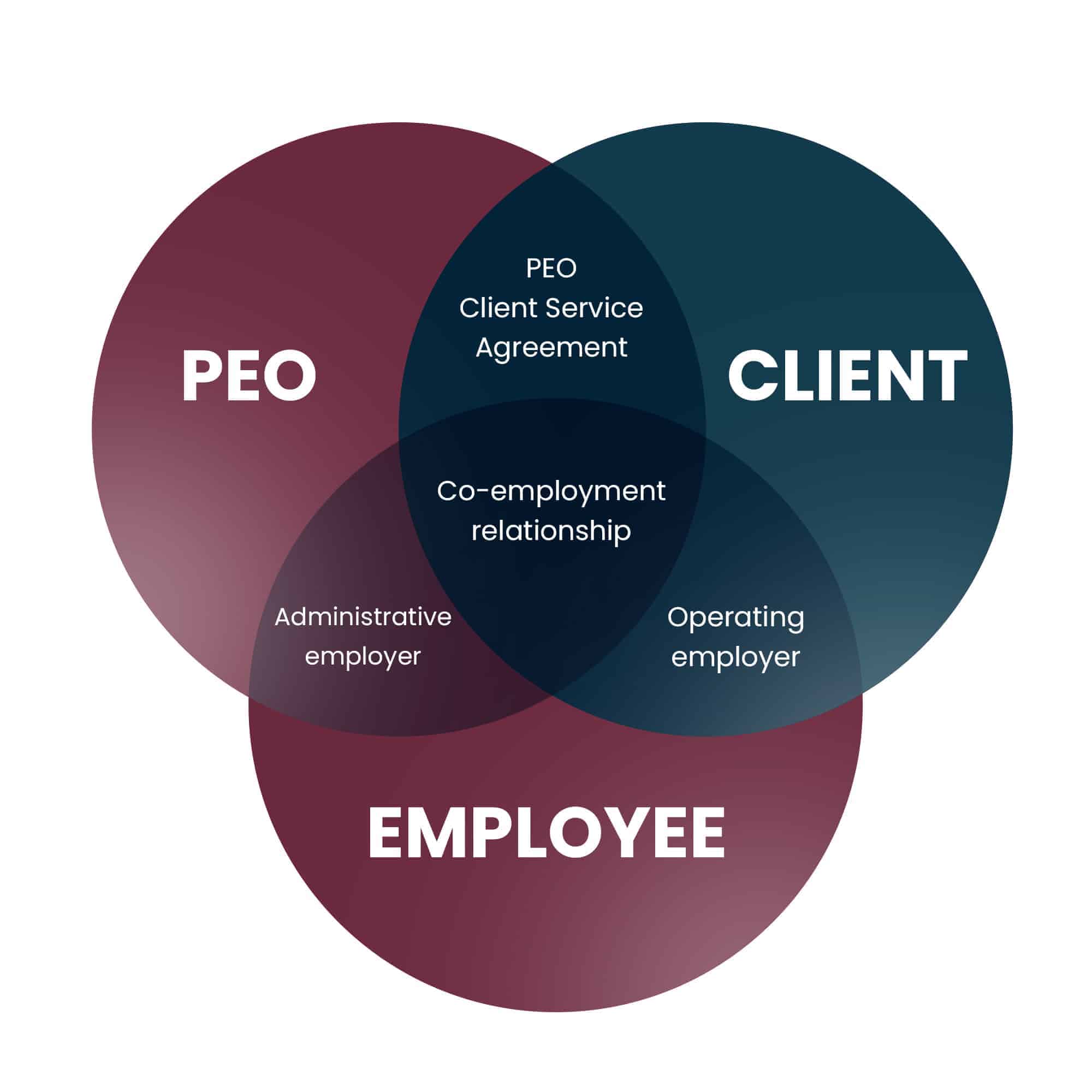 What is a PEO? How Does it Work & Why Use One? - Exploring Peo Co Employment And Its Scope In The U S Workforce