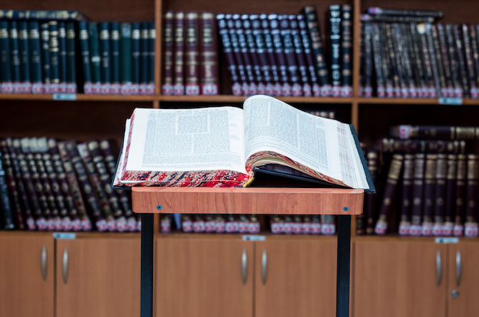 What’s New in the Talmud Department? – The Rampage - How Old Is Capri? Internet’s Cutest Mystery Age Revealed