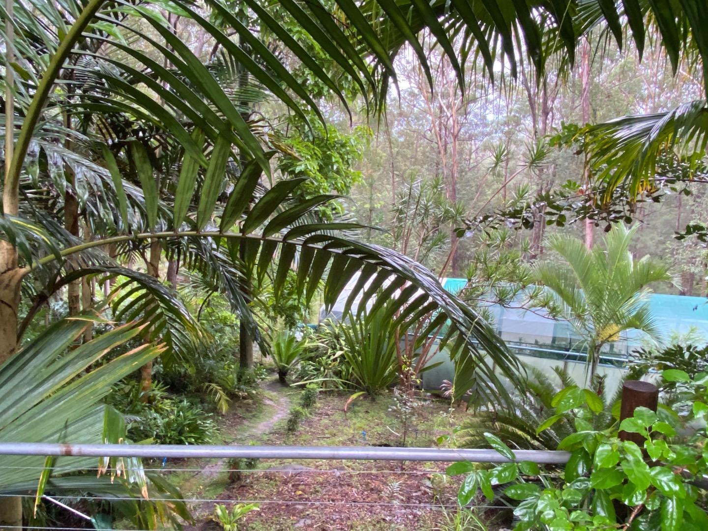 What’s the view from your deck let’s see it? - DISCUSSING PALM TREES - SZA’s Secret Love: Who’s The Man Behind The Music?