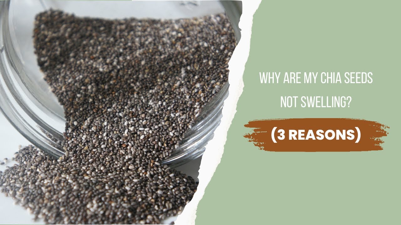 Why Are My Chia Seeds Not Swelling? - YouTube - Does Chia Seeds Break A Fast