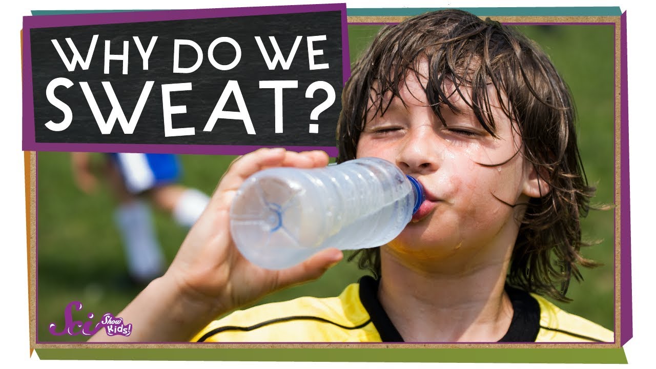 Why Do We Sweat? | Sports Science | SciShow Kids - YouTube - Does Keto Make You Sweat More