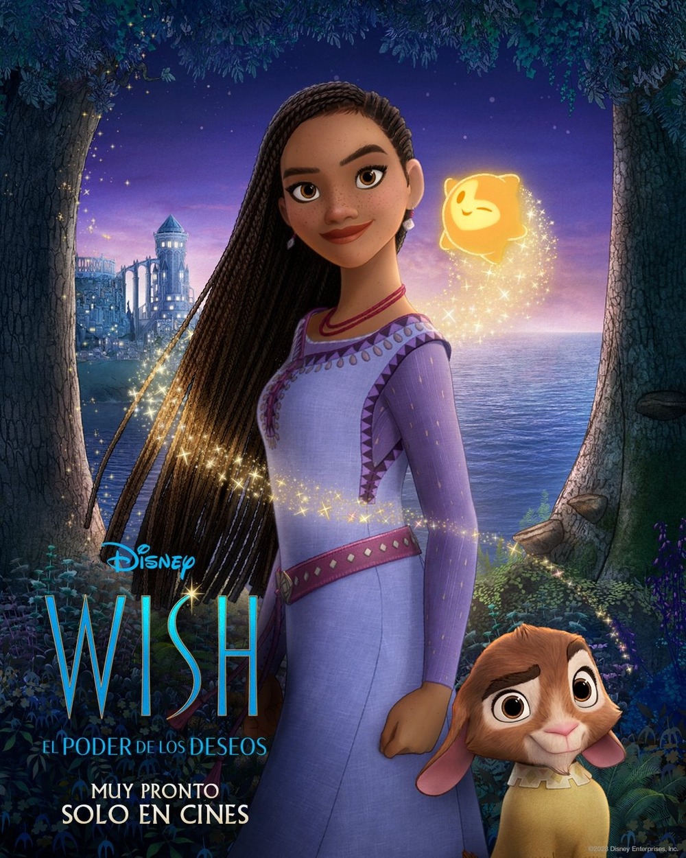 Wish Upon A Star Park Photos