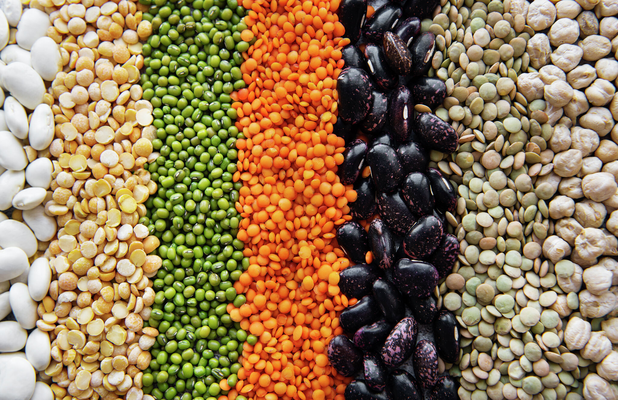 10 beans and legumes high in protein - Beans And Brews Coffee House Salt Lake City