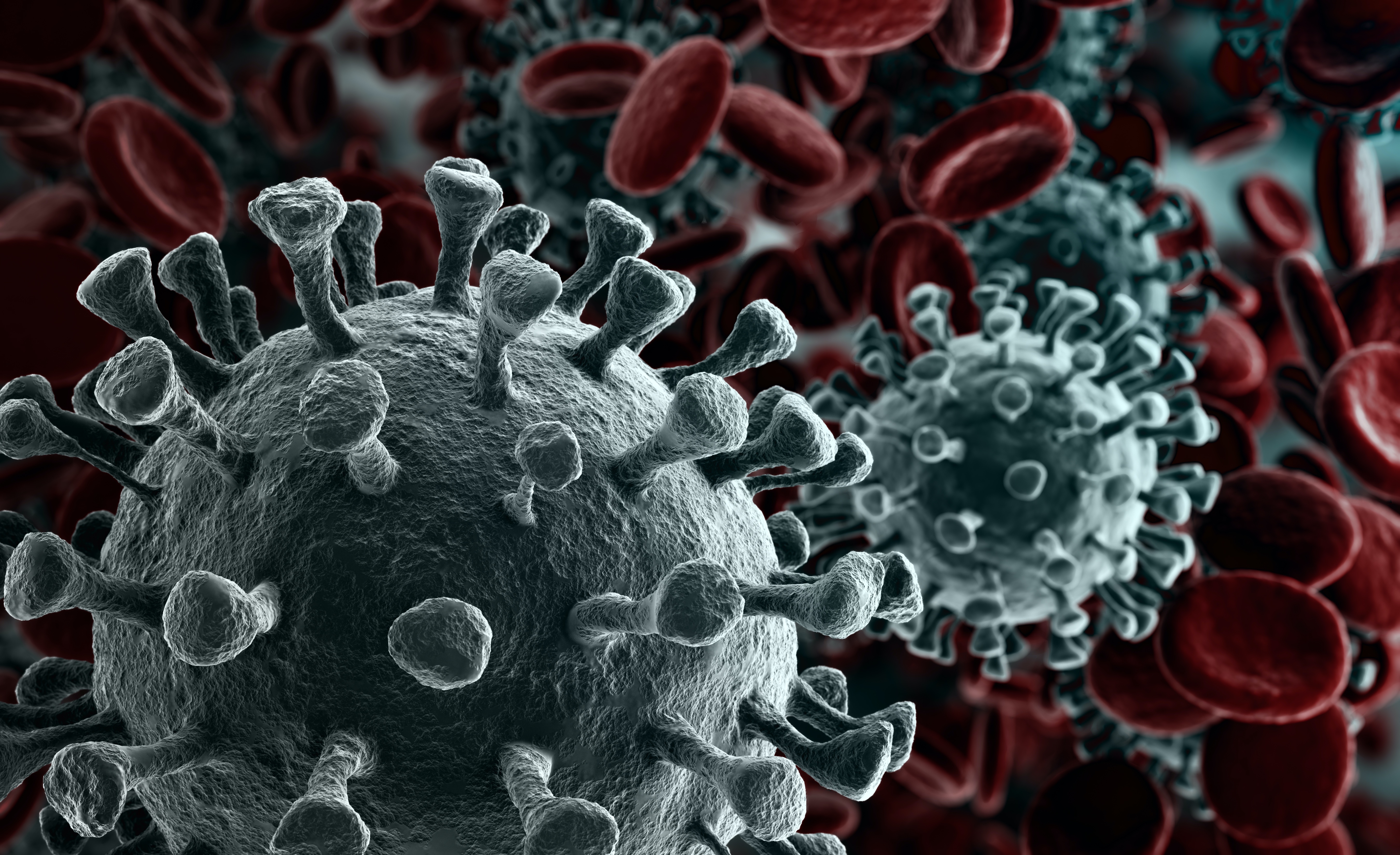10 facts about the coronavirus | Faculty of Medicine | UiB - Does Covid Vaccine Affect Red Blood Cell Count