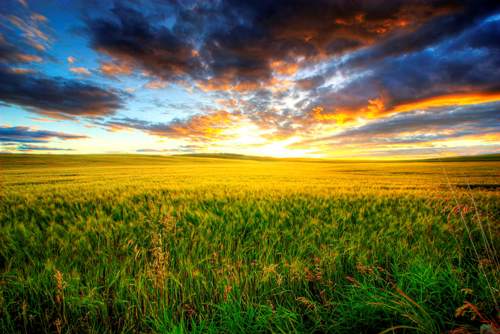 Prairie Operating Company Stock Buy Or Sell