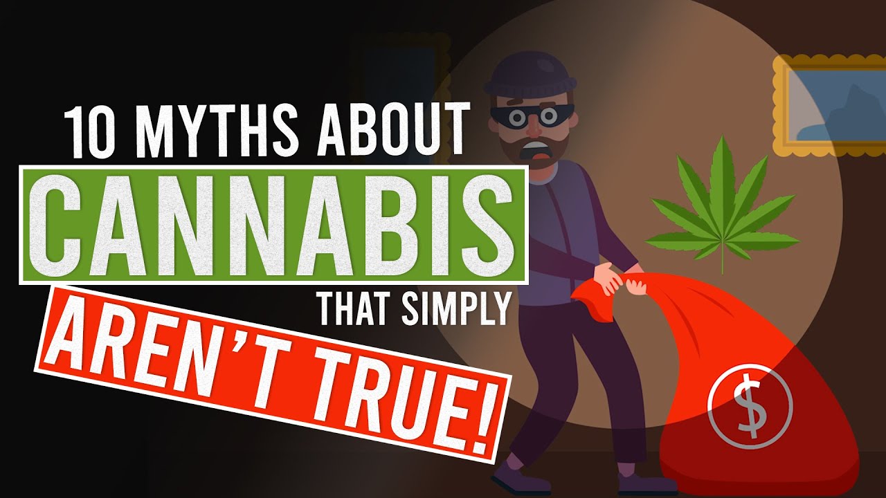 10 MYTHS about CANNABIS That simply AREN'T TRUE! - YouTube - Identify The True And False Statements About Cannabis