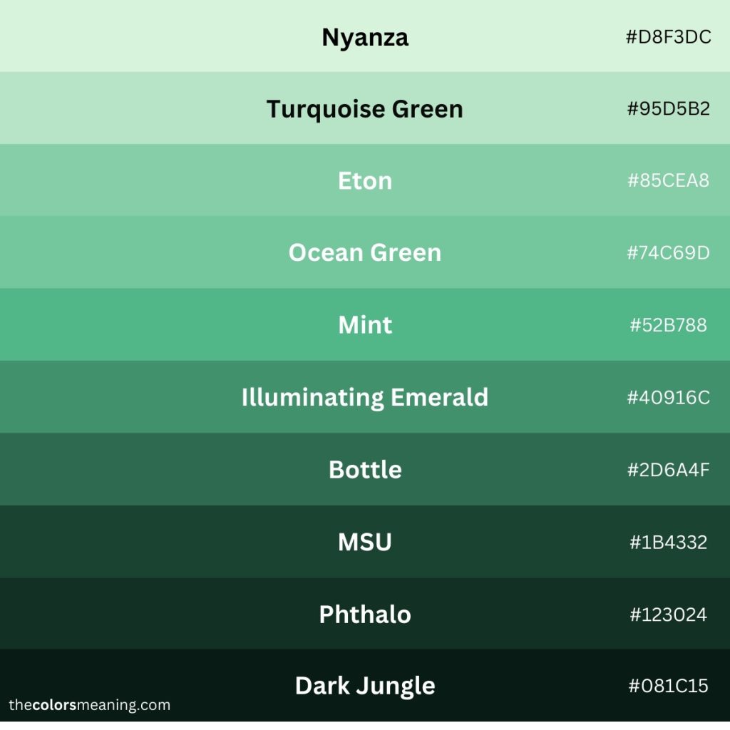 Green Malay Vs Super Green Malay