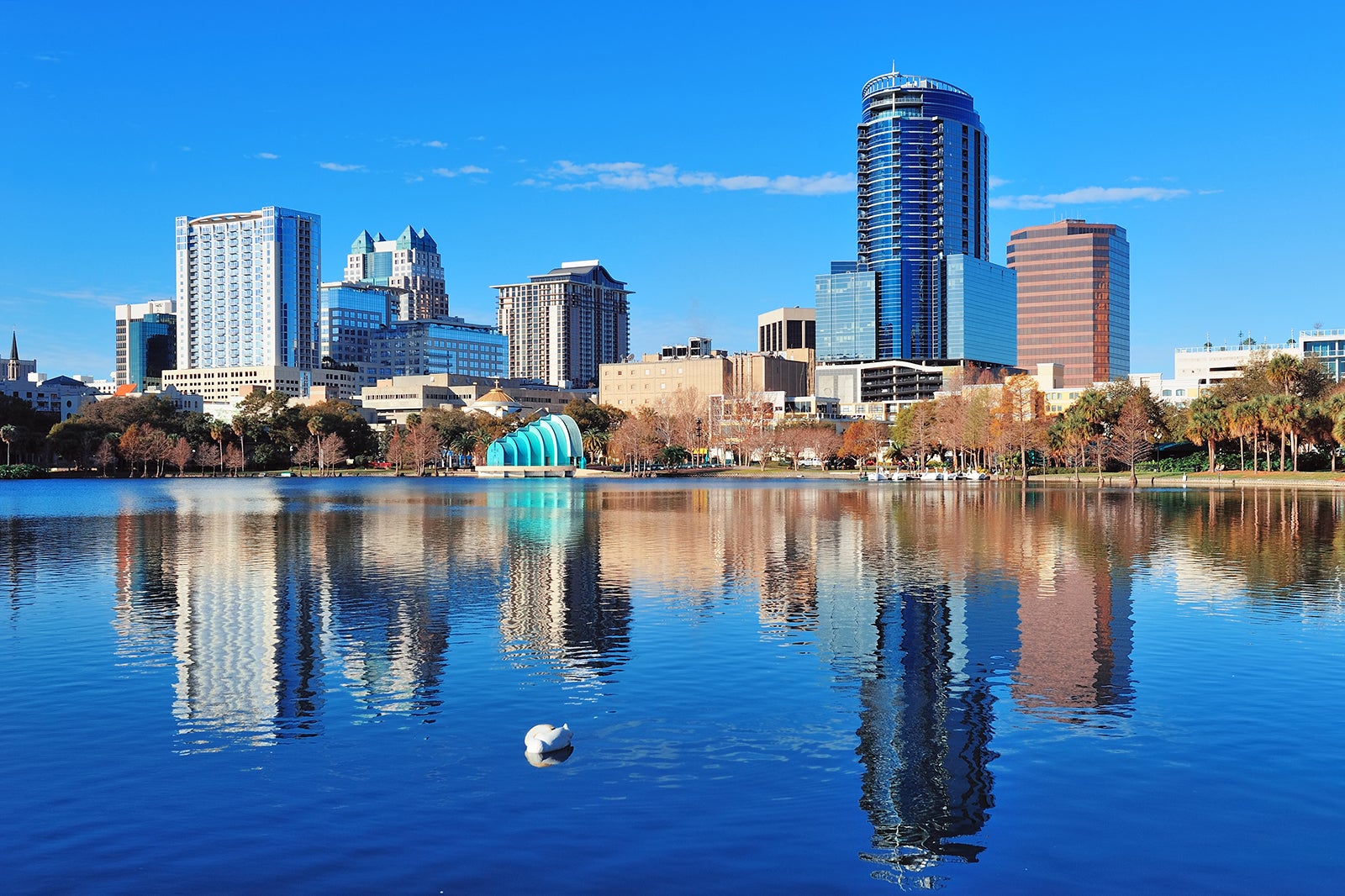 Orlando African American Chamber Of Commerce