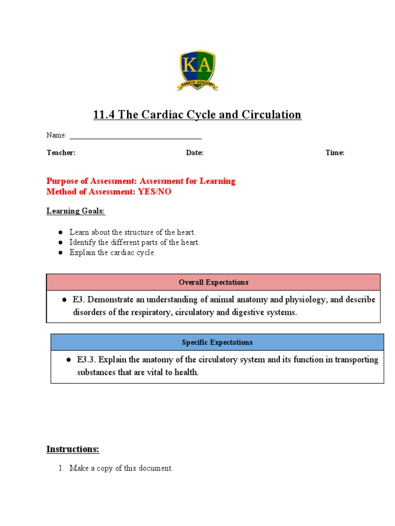 During The Primary Assessment Circulation Is Evaluated By Assessing