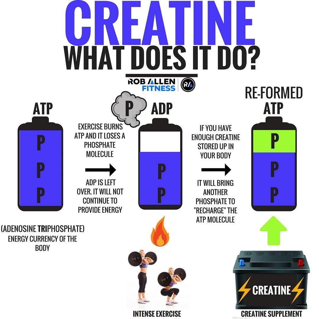 1,161 Likes, 121 Comments - Rob Allen (@roballenfitness) on Instagram - How To Incorporate Creatine Into Your Diet