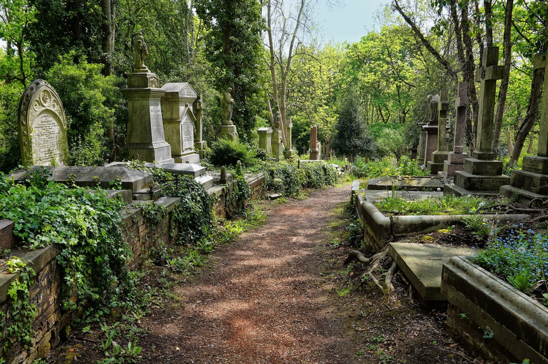 Can Cemetery Software Assist With Mapping And Plot Management