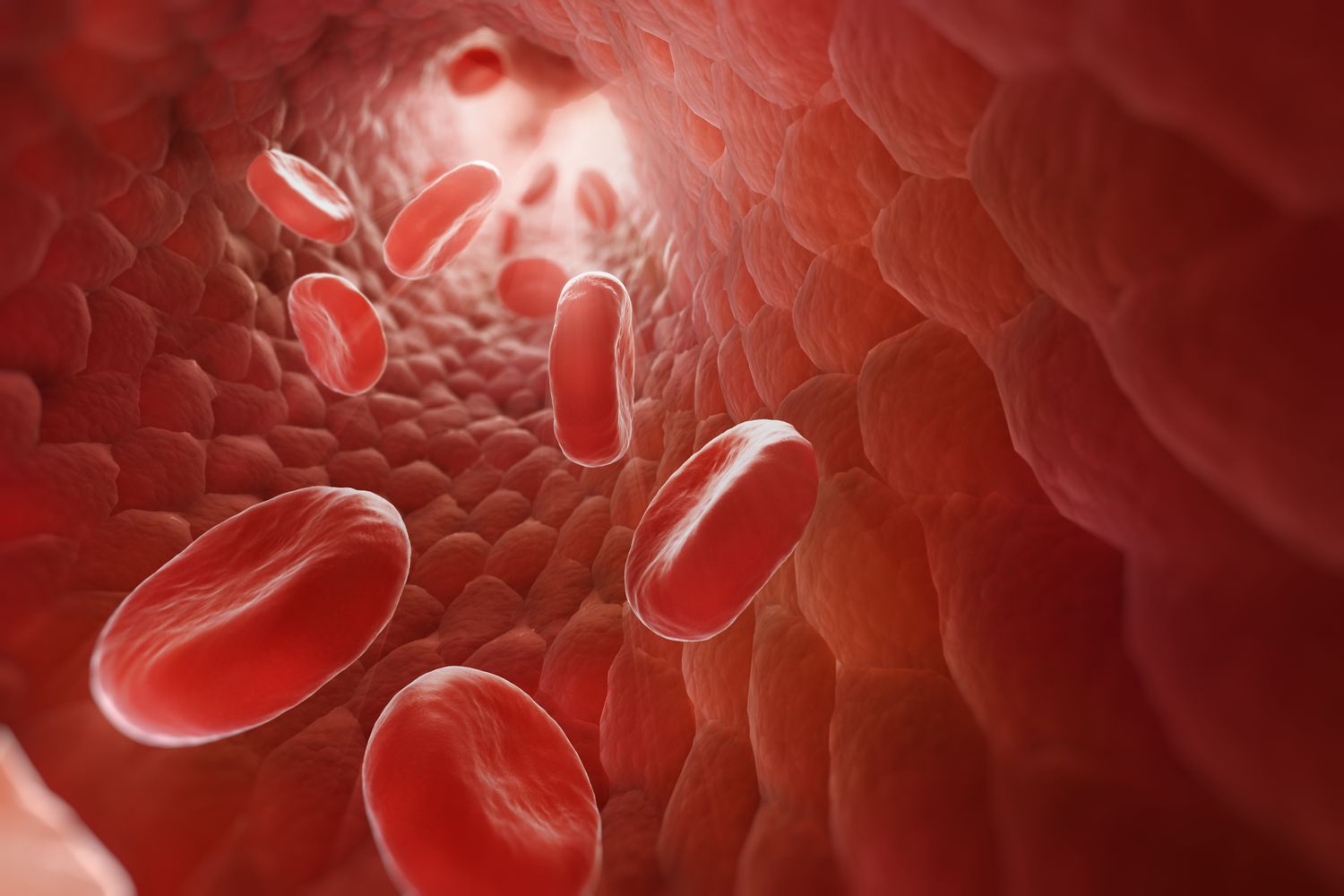12 Interesting Facts About Blood - Blood Collection For Therapeutic Drug Monitoring Requires