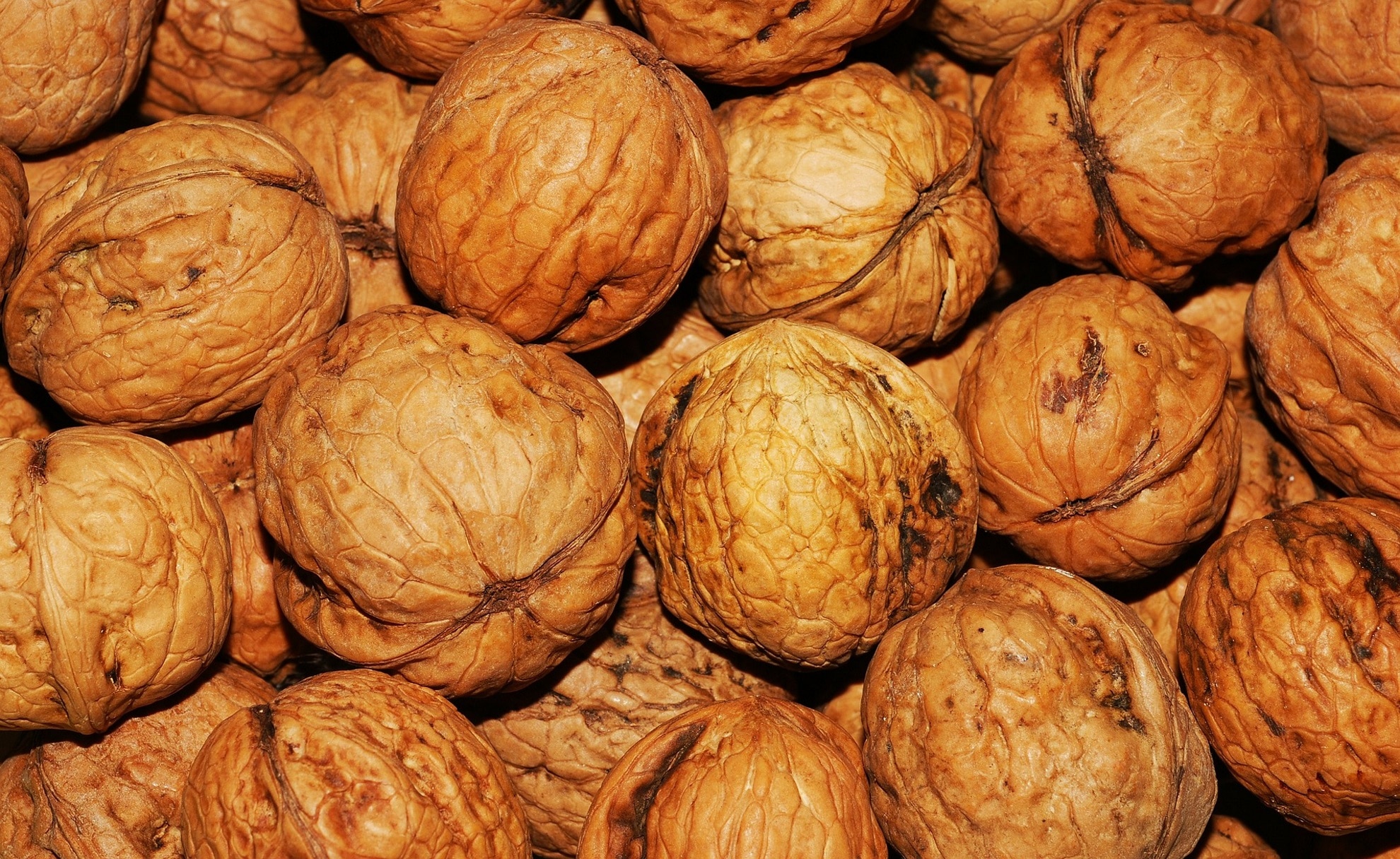 13 Proven Health Benefits of Walnuts - Arnett Farms - Walnut Park - A Provincial Senior Living Community