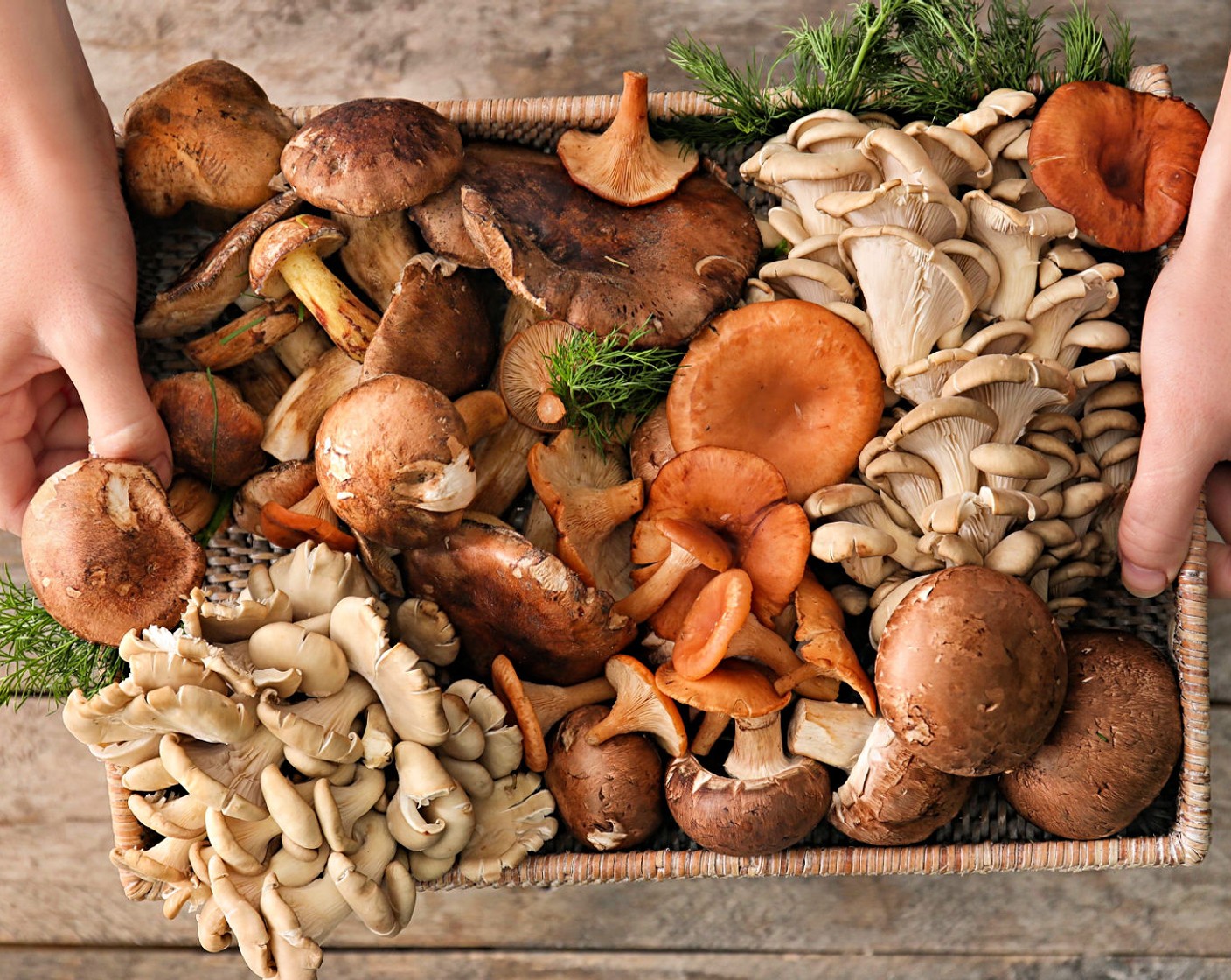 14 Popular Types Of Mushrooms And What To Cook With Them - SideChef - Does Mushroom Coffee Help With Constipation