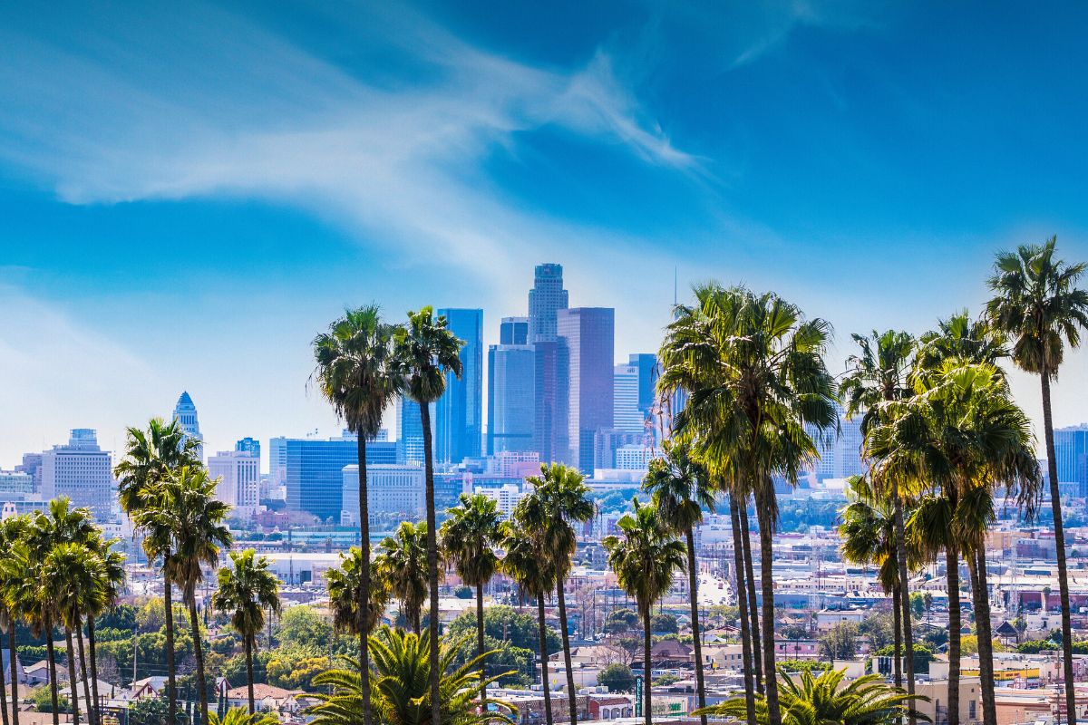 Los Angeles Fine Arts & Wine Storage Company