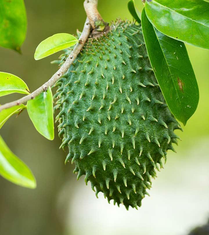 16 Amazing Benefits Of Soursop For Skin, Hair & Health - Can Soursop Help You Lose Weight