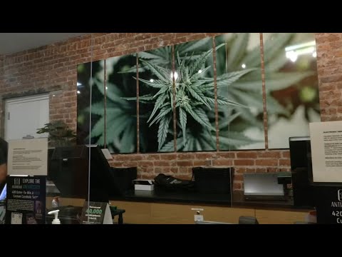 1st recreational marijuana dispensary opens in Atlantic City on 4/20 - Dispensary In Atlantic City Boardwalk New Jersey