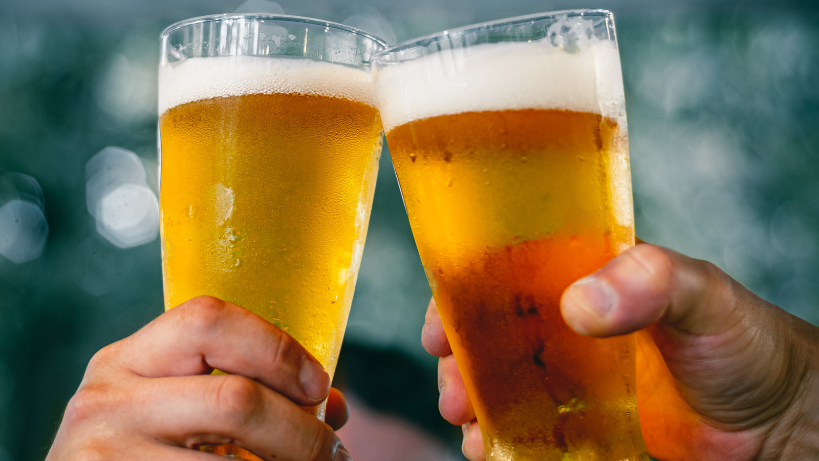 20 Types Of Beer And What Makes Them Different - Beer And Cheese Fest Madison 2025