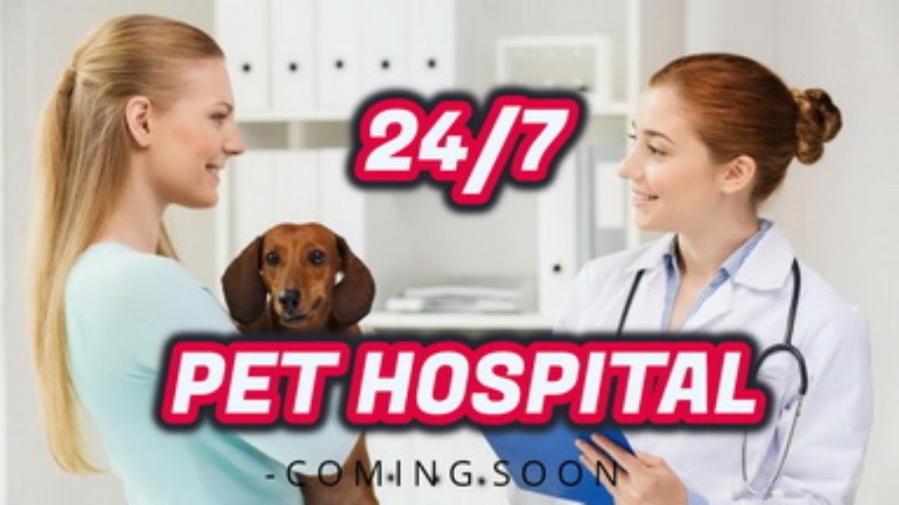 24 hour emergency vet in sacramento ca - Emergency pet hospital - YouTube - Rise Pet Health Emergency & Specialty Hospital
