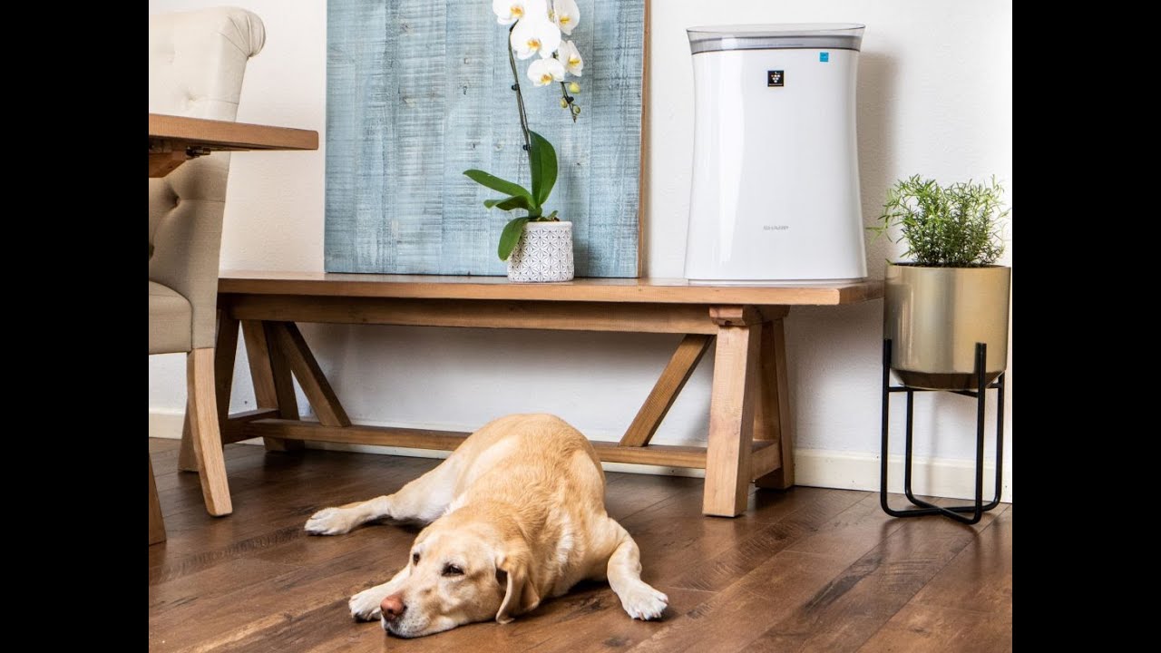 3 Simple Ways to Reduce Dust in Your Home - YouTube - How To Get Less Dust In Your Room