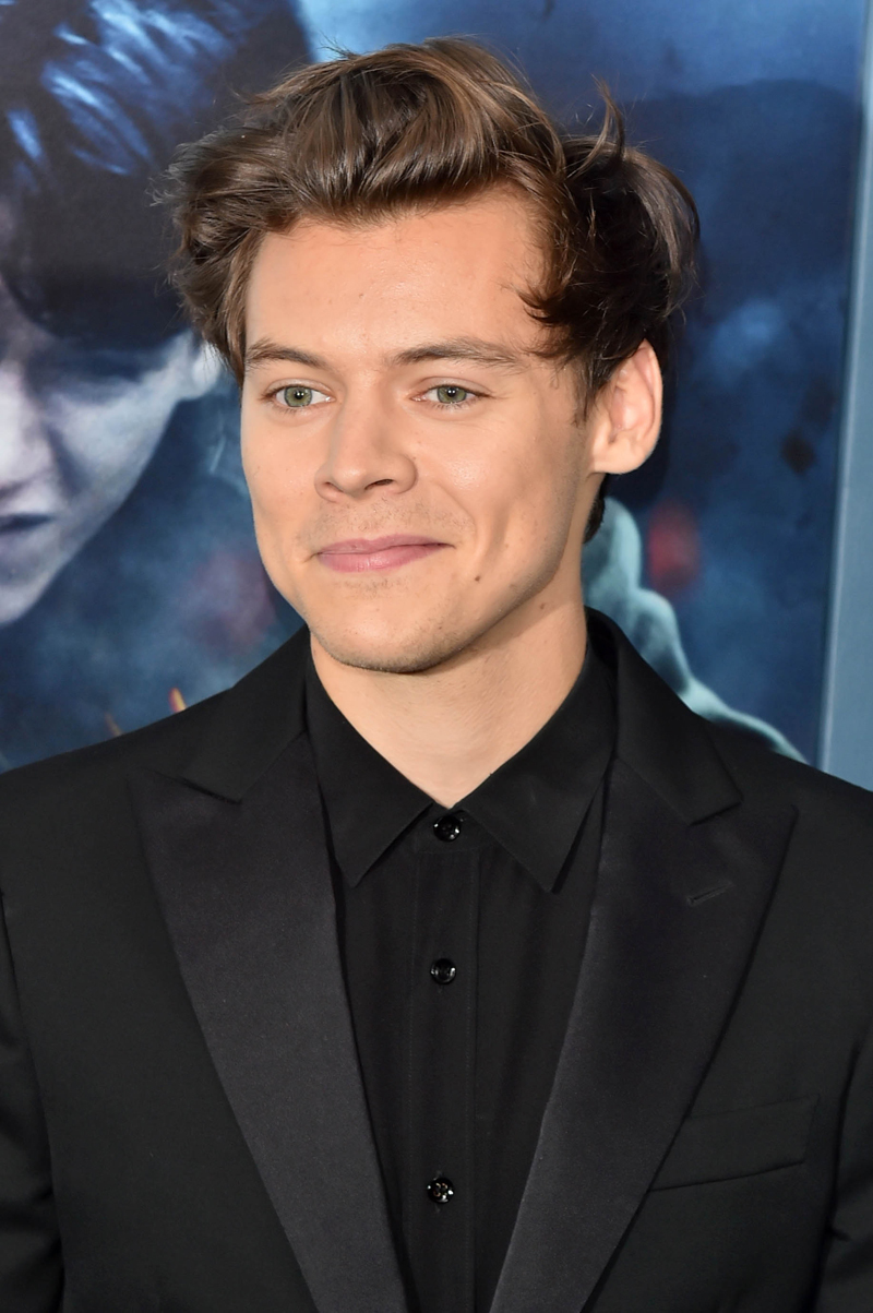 30 Hot Pictures of Harry Styles - Harry Potter Queen Size Bed Set