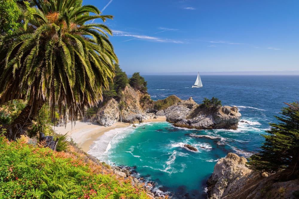 California Welfare And Institutions Code 300