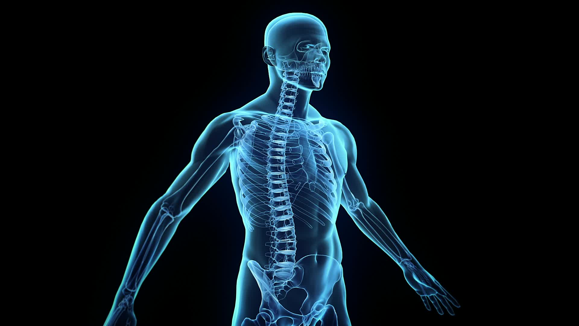 🔥 [40+] Human Body Wallpapers | WallpaperSafari - Human Milk Fortifier Where To Buy