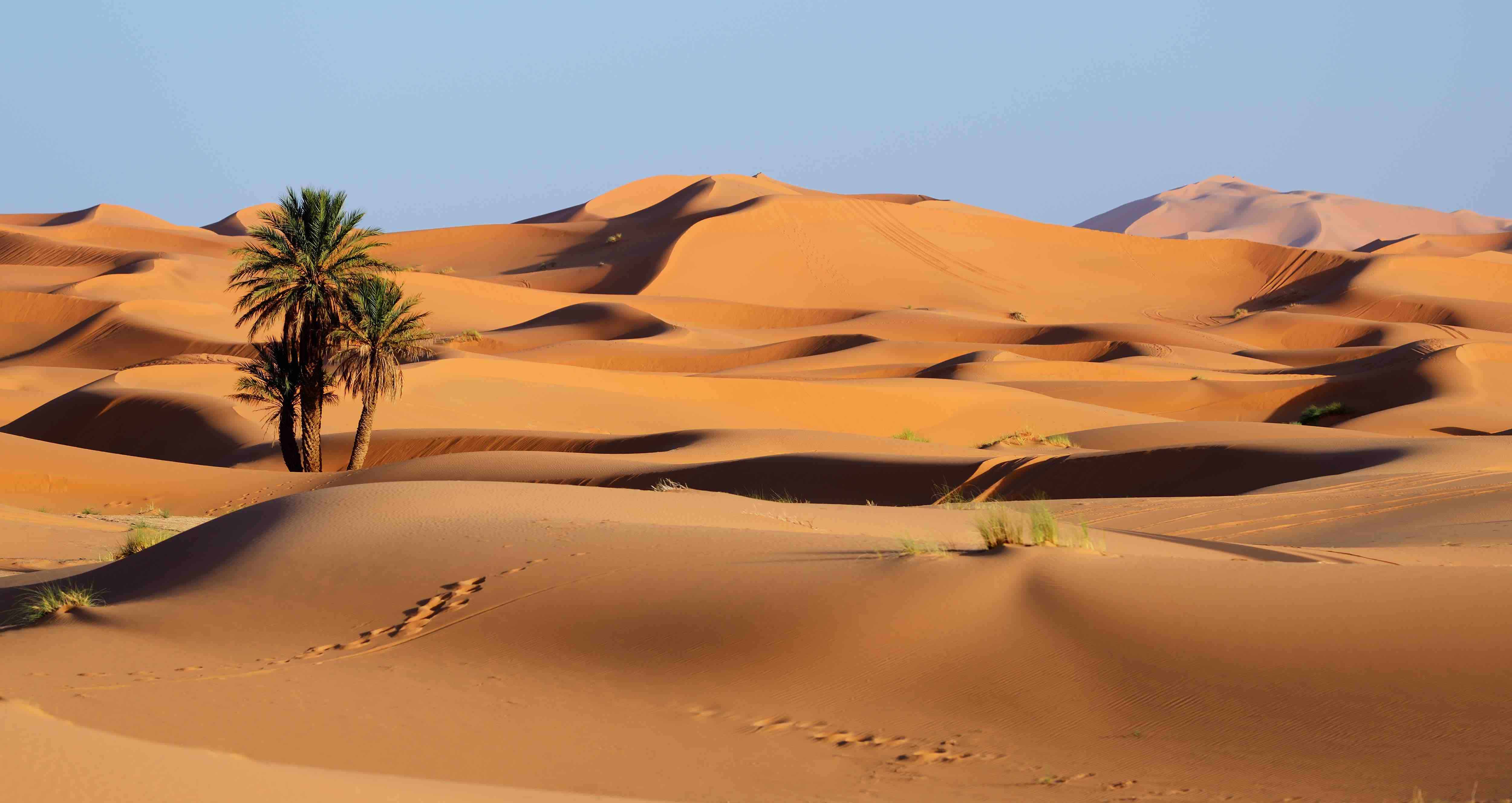 Desert Care Network Primary & Specialty Care