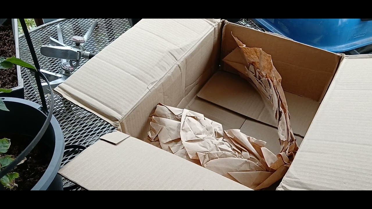 4PATRIOTS unboxing - YouTube - 4patriots Buy 1 Get 2 Free Reddit
