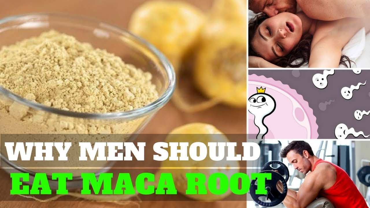 5 Amazing Benefits of MACA ROOT for MEN Which You Probably Didn't Know - Maca Root And Ashwagandha For Men