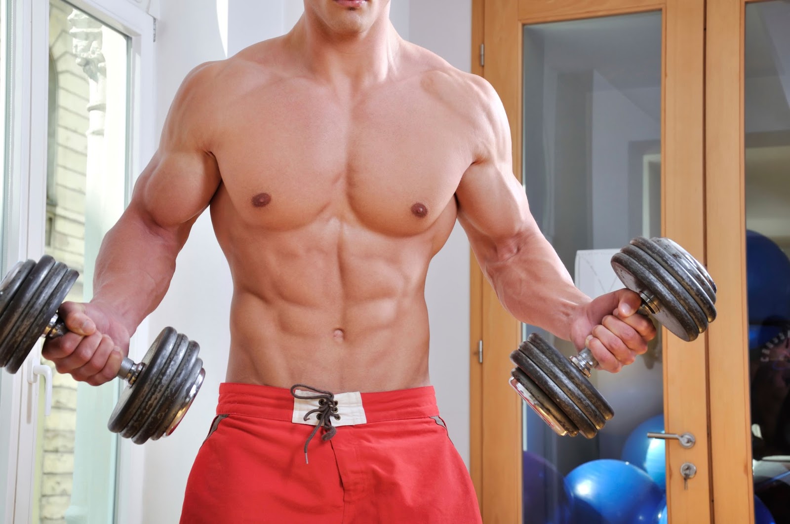 5 Important Muscle Building Tips | Health Articles - Muscle Milk Genuine Protein Shake Chocolate