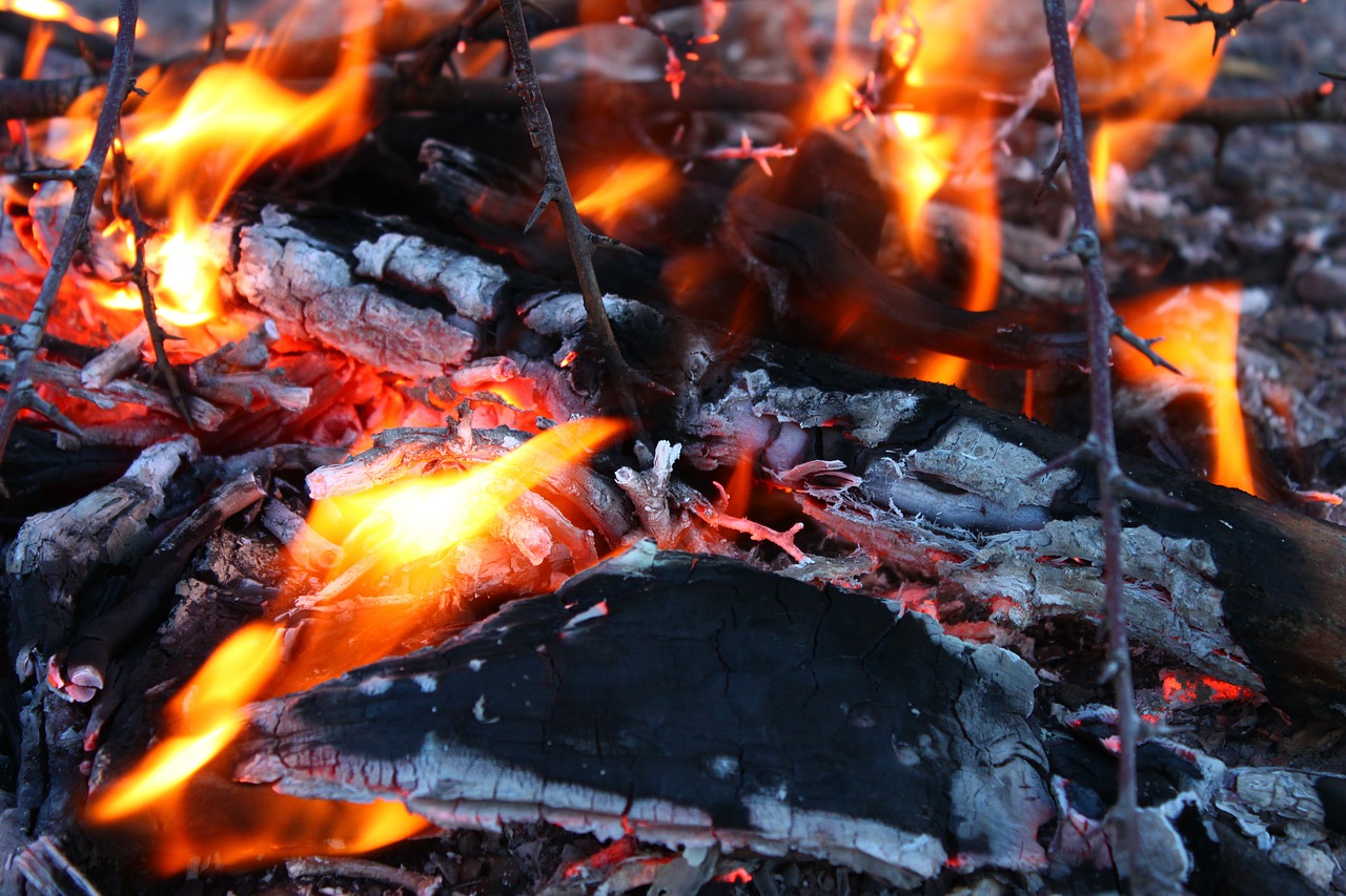 5 Steps to Effective Burning - Rajiv Kapur - Burning Of Wood Chemical Or Physical Change
