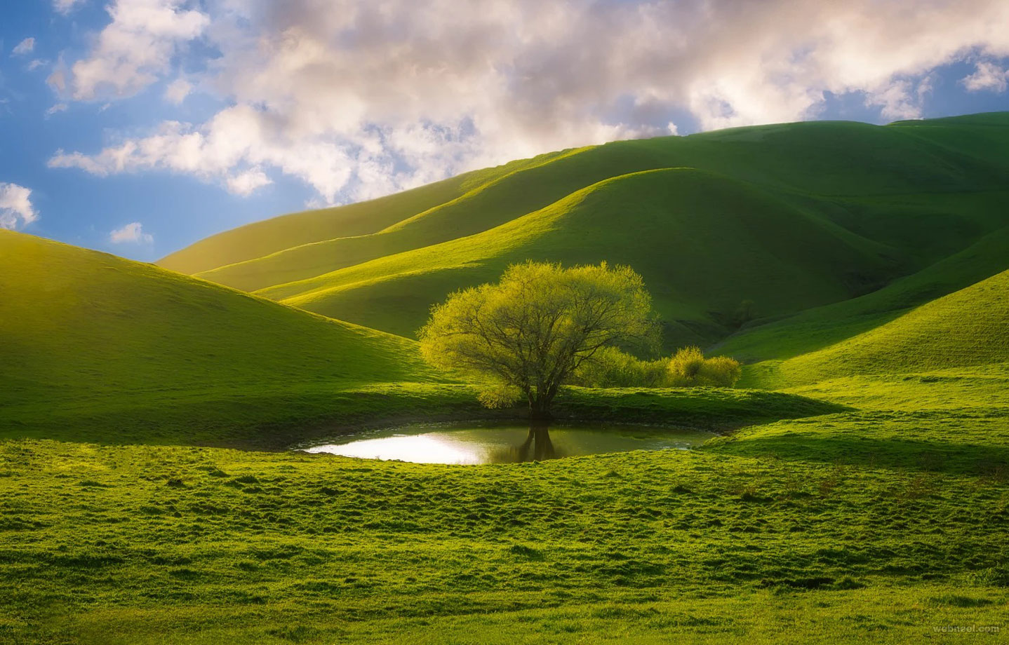 50 Beautiful Nature Photography examples from famous photographers - Natural Slim En Los Angeles Ca