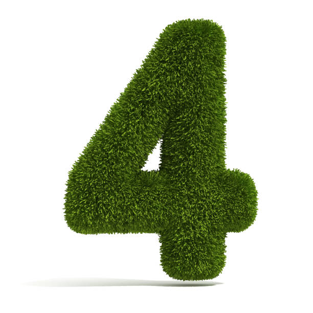 50+ Fotos, Bilder und lizenzfreie Bilder zu Grass Number Number 4 Three - 4 Beauty Aesthetics Institute For Plastic Surgery: Dr. Constantino Mendieta