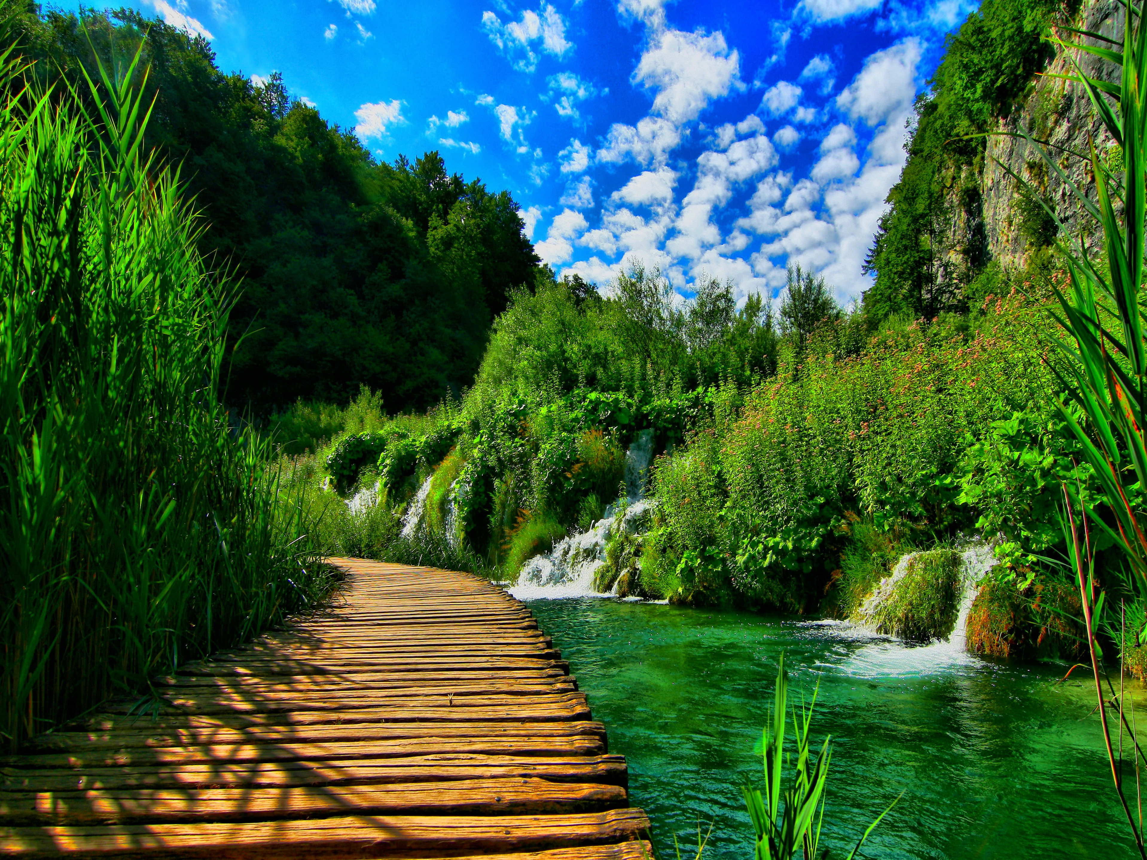 50+ Nature Wallpapers HD For Free Download - Nature's Blessings Jamaican Black Castor Oil