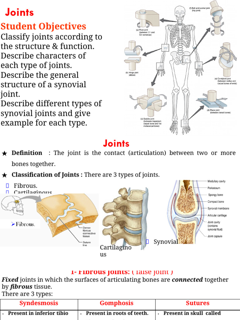 6 Joint | PDF | Anatomical Terms Of Motion | Joint - Fixation Of A Joint Medical Term